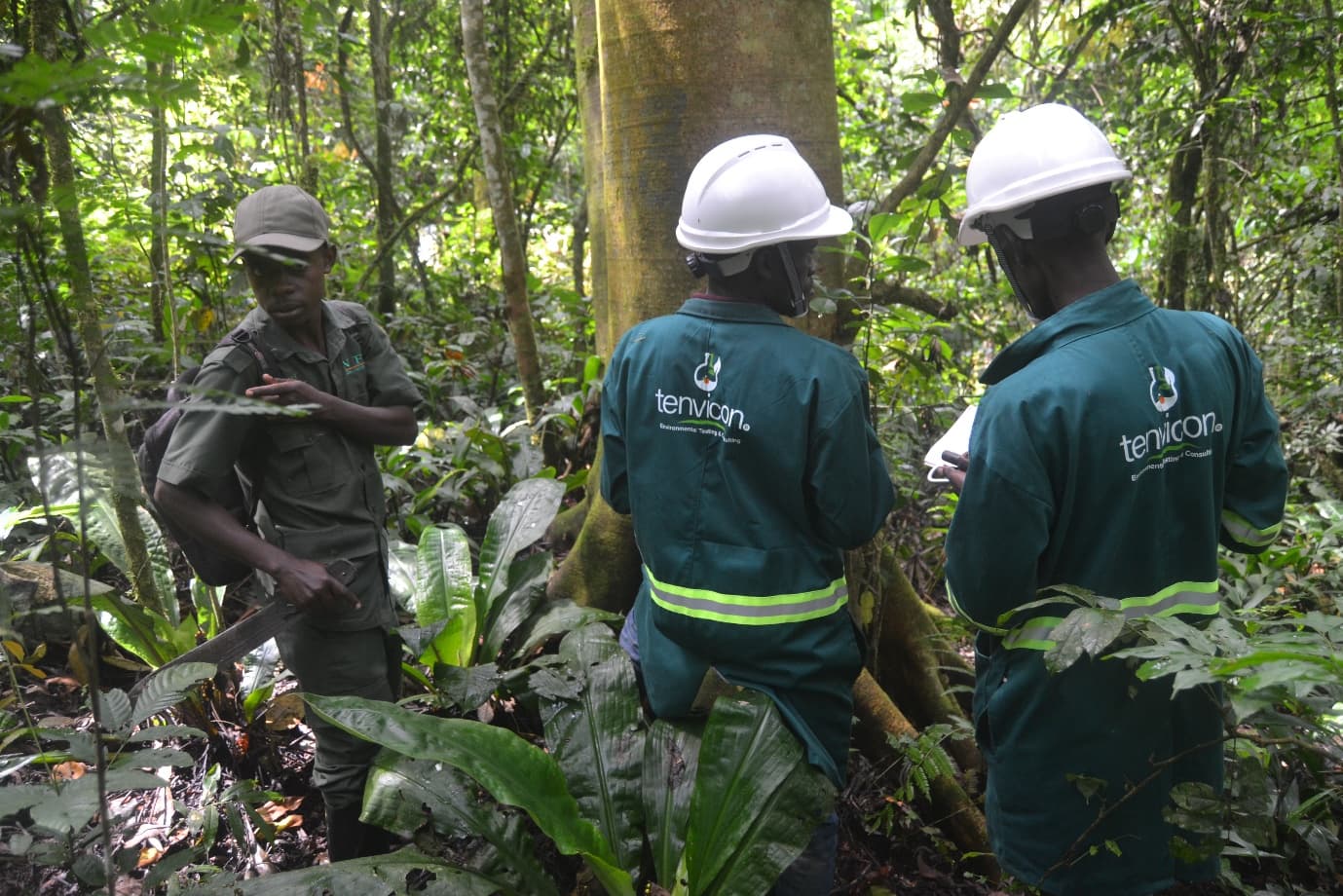 Tenvicon team carrying out an environmental assessment in the forest